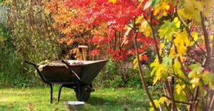 Fall Hours start October 1st Monday to Saturday 9am to 5pm Sunday 10am to 5pm