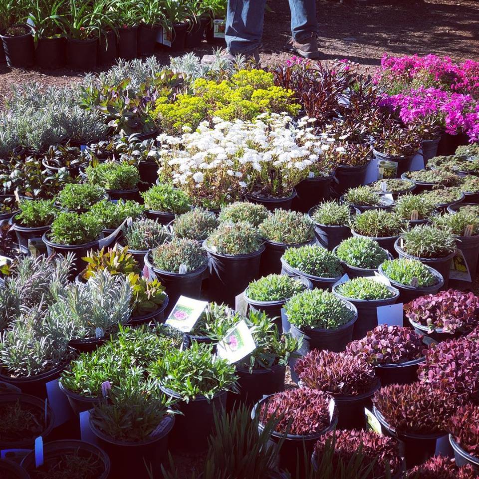 Nursery North End Organic Nursery