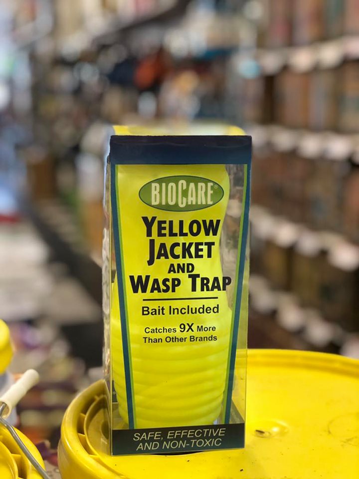 Get Yellow Jackets & Wasps to Stop Bugging You! North End Organic Nursery
