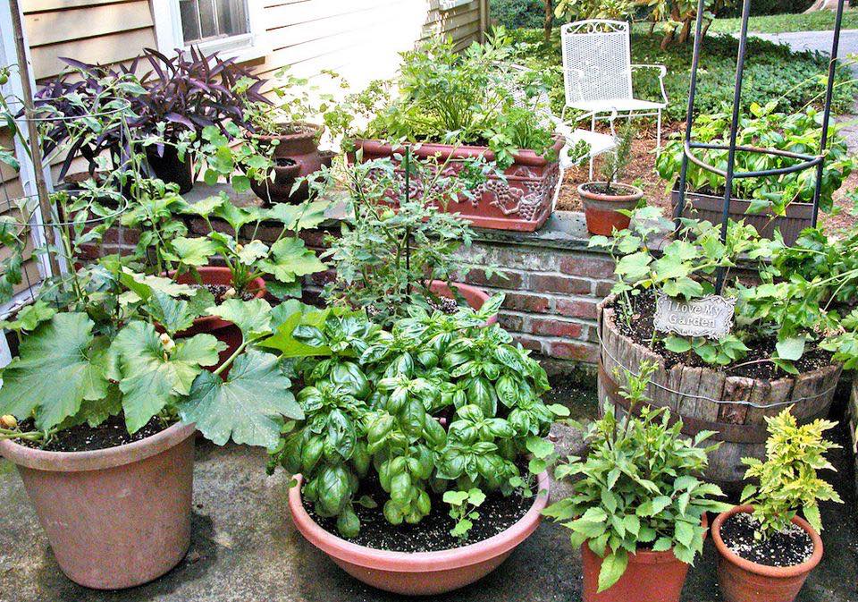 Who Needs Space? Your Best Garden Ever in Containers!