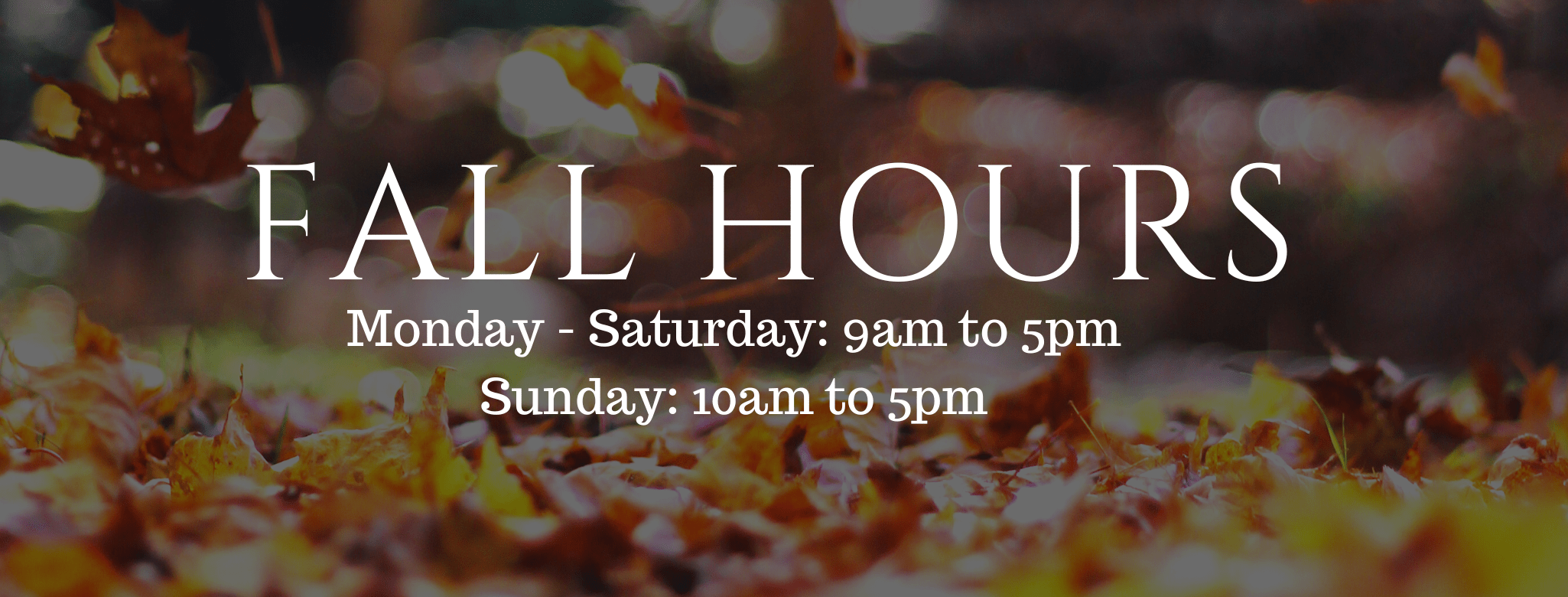 FALL  HOURS