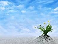 STAYING INSPIRED –