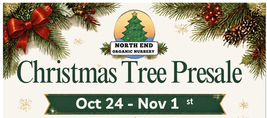 CHRISTMAS TREE PRESALE EVENT